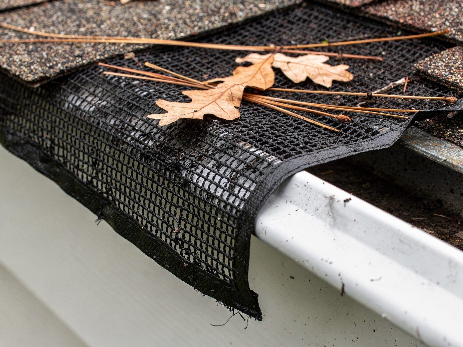 Gutter Guards & Leaf Protection in Naples, FL